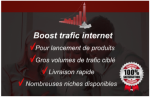 boost trafic web